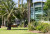A contemporary glass hospital with large windows is set amid palm trees, benches, and blooming roses in a sunny landscaped garden.