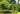 A well-maintained garden with blooming flowers, green shrubs, palm trees, and a metal archway under clear daylight.